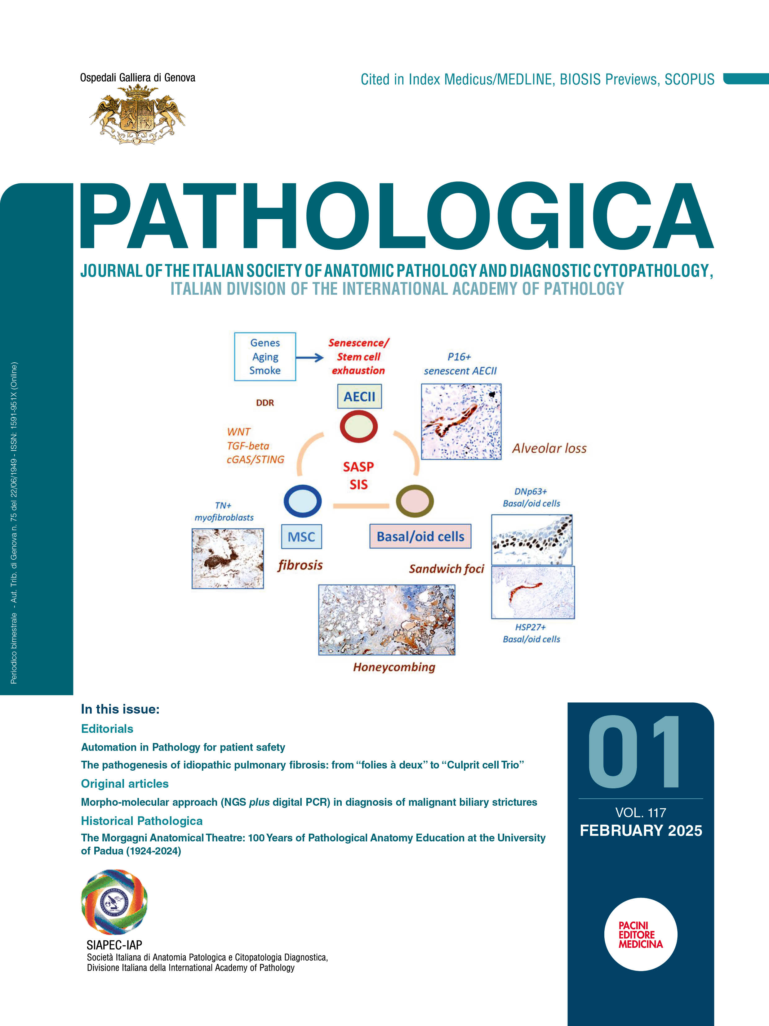 Issue 1 - February 2025