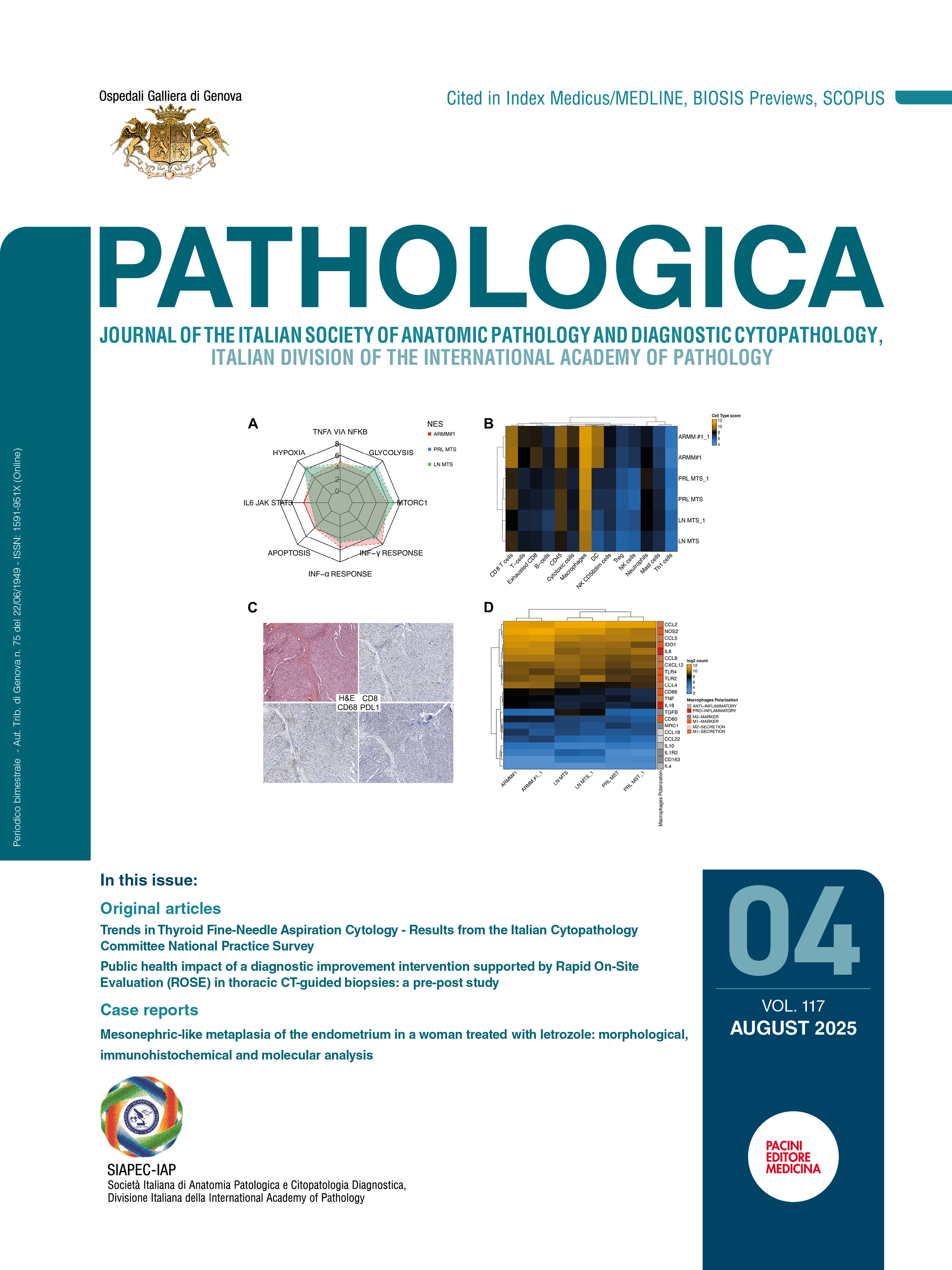 Issue 4 - August 2025