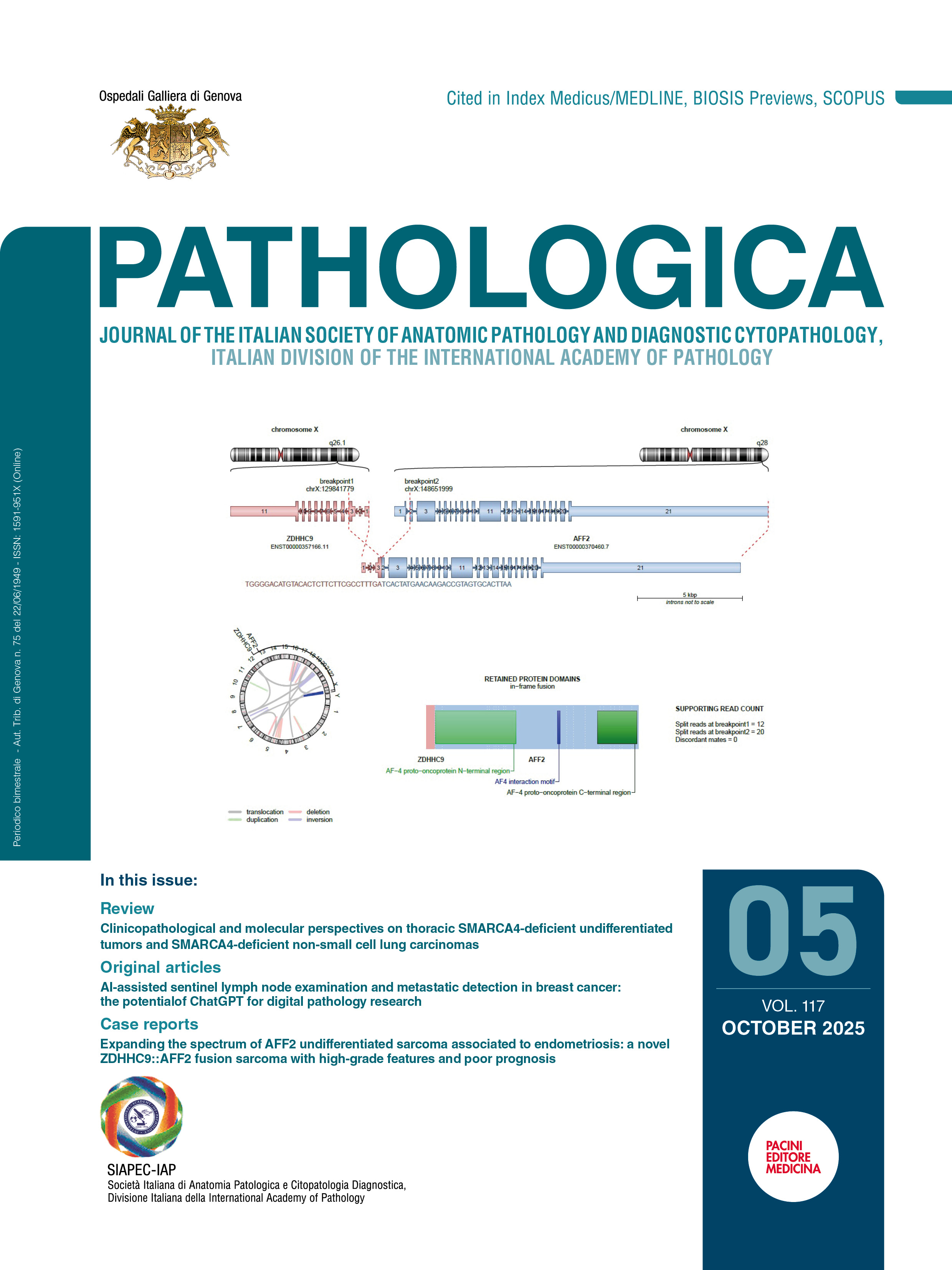 Issue 5 - October 2025