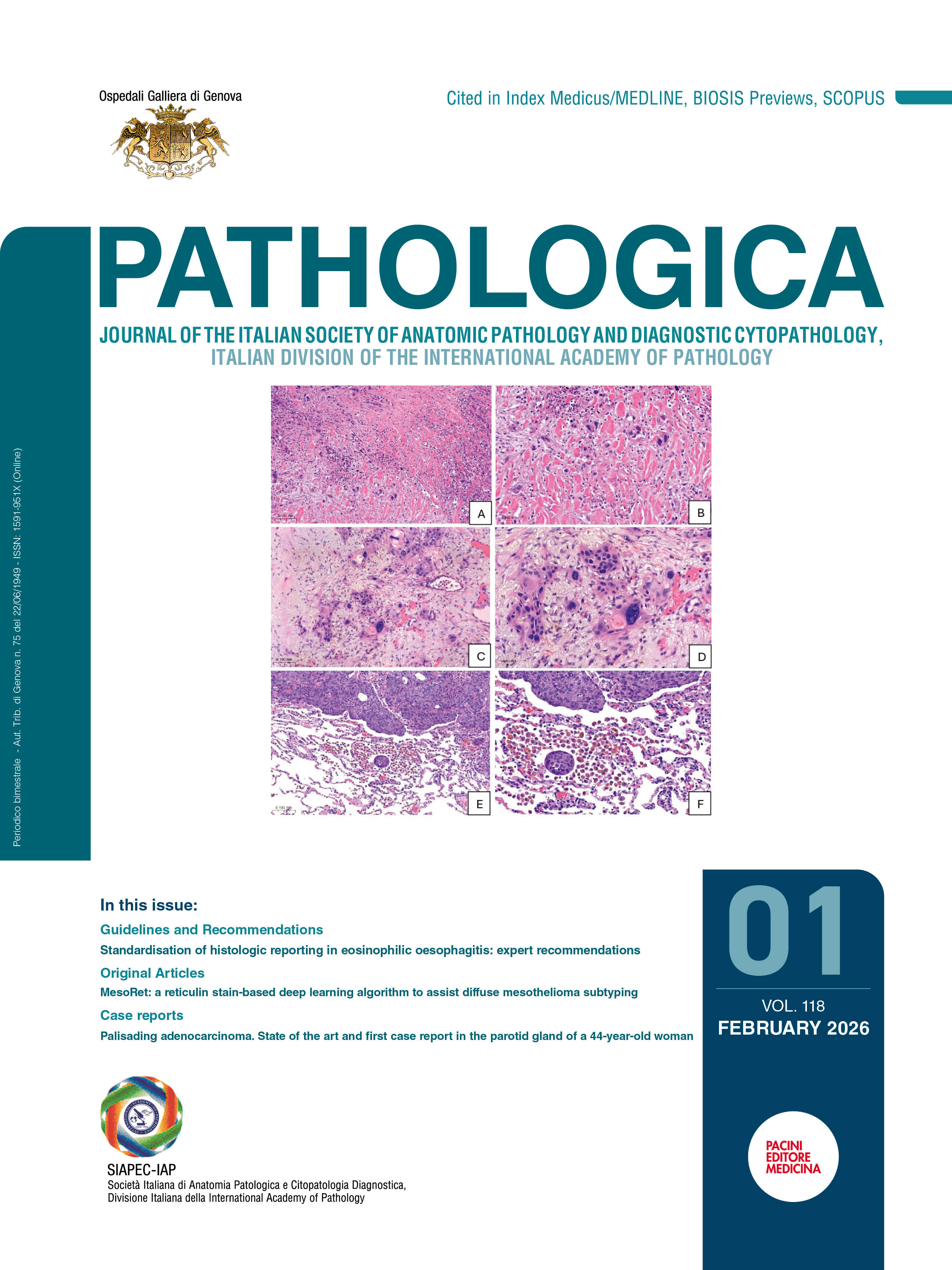 Issue 1 - February 2026